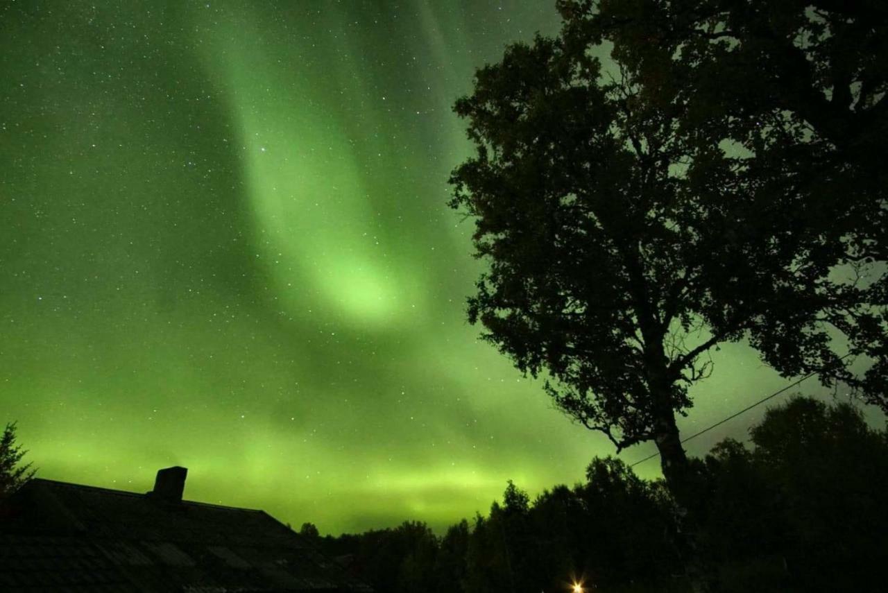 Villa Karistua Hansnes Esterno foto